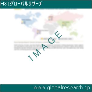 グローバルリサーチ調査レポートのイメージ